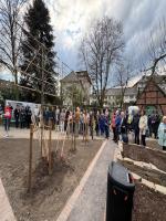 images/bilder/2025/pflaumenbaum/IMG_7618.jpg