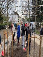 images/bilder/2025/pflaumenbaum/IMG_7622.jpg