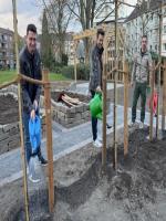 images/bilder/2025/pflaumenbaum/IMG_7645.jpg