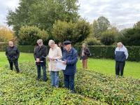 images/bilder/juedischer-friedhof/image2.jpeg