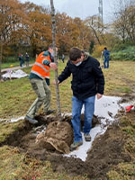 images/bilder/pflaumenbaum/pflaumenbaum-06.jpg