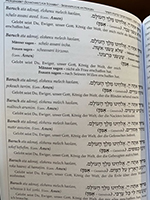 images/bilder/synagoge-2021/image10.jpeg